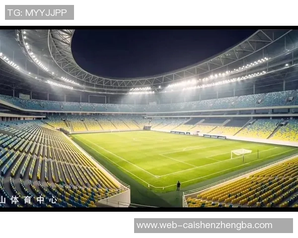 中国专用足球场建设现状与未来发展趋势分析及其对足球运动的影响